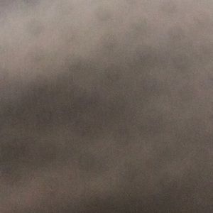 Meet your Posher, Sean